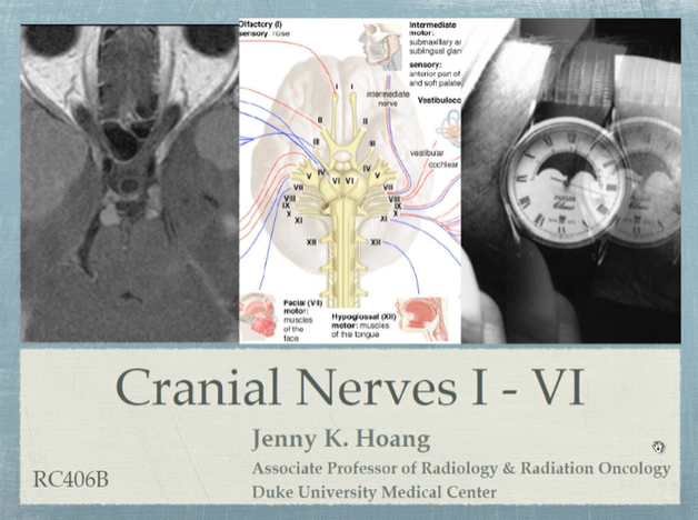 Cranial Nerves I-VI. Part 2 thumbnail