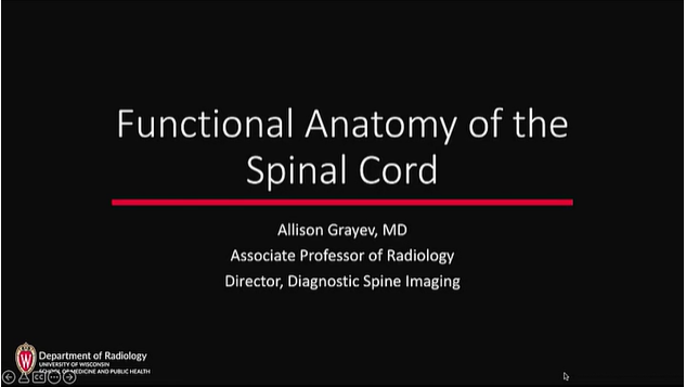 Functional Anatomy of the Spinal Cord thumbnail